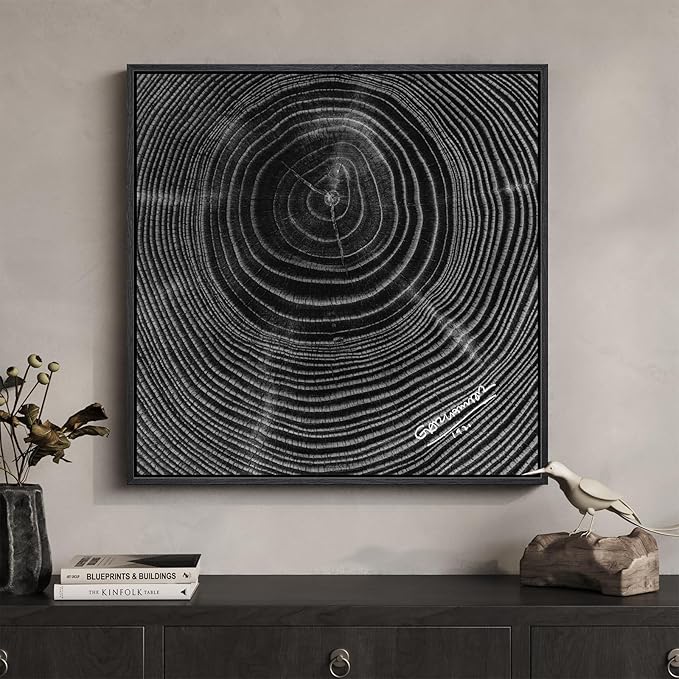 Framed Square Black Tree Ring Abstract Wall Art, Modern Nature Canvas Prints, Contemporary Black Minimalist Tree Lines Pictures for Living Room Bedroom Dining Room Hallway Office Wall Decor 24x24 In