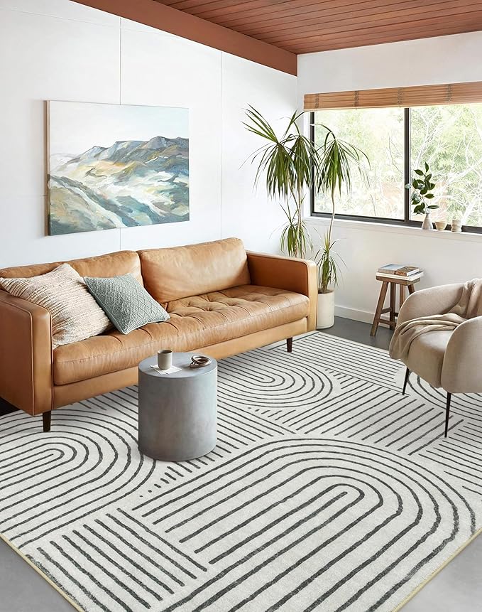 Lahome Abstract Washable Area Rug, 5x7 Rug for Bedroom Non-Slip Soft Living Room Rug, Ultra-Thin Modern Black and White Rug Throw Large Carpet for Dining Room (5'x7',Black)