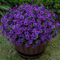 Lnoicy 20 Bundles Artificial Flowers for Outdoor Fake Plants for Spring Decoration,Faux Eucalyptus Flowers for Planter UV Resistant Lifelike for Home Porch Garden（Purple）