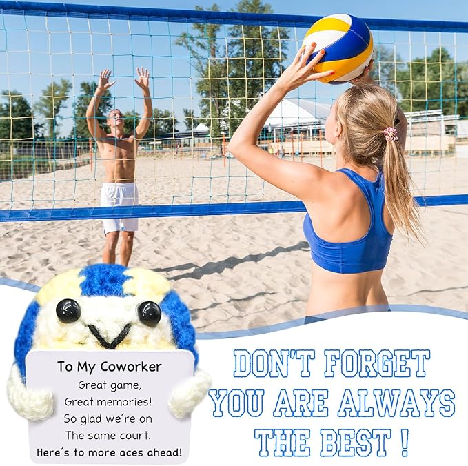 Handmade Collectible Volleyball Desk Decor - Funny Office Gift for Colleague,Coworker Appreciation Gift,Team Building Gifts for Volleyball Fans,Professional Home & Office Accent