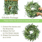 Olive Wreath for Front Door 22 inch, Greenery All Season Wreath with Olive Leaf Fruit, Home Decoration for Outdoor Living Room Indoor Wall and Outside Summer All Season Wedding