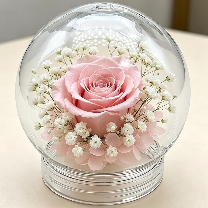 1 PCS Snow Globe Jar Empty Clear Plastic Water Globes with Screw Off Bottom Cap for DIY Crafts and Home Decoration (10 CM / 3.94 Inch)