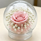 1 PCS Snow Globe Jar Empty Clear Plastic Water Globes with Screw Off Bottom Cap for DIY Crafts and Home Decoration (10 CM / 3.94 Inch)