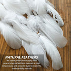 Dream Catcher Native American Boho Dreamcatcher White Wall Decor, Handmade Rattan Natural Goose Feathers Wall Hanging Art Piece Indian Room Decor for Bedroom Living Room Wedding