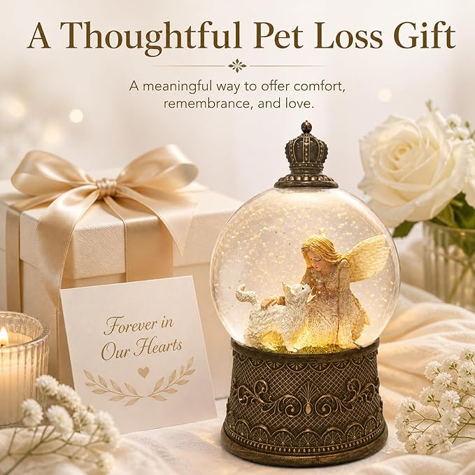 Cat Memorial Gifts for Loss of Cat Sympathy Gift, Snow Globe with Auto Swirling Glitter & 6H Timer, Battery or USB Powered, Cat Remembrance Gifts for Home Decor