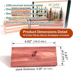 Cedar Blocks for Clothes Storage, 40 Cedar Planks, Cedar Blocks for Closet, Cedar for Closets, Natural Closet Smell Eliminator,Natural Closet Deodorizer,Drawer Fresheners for Dresser