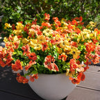Artificial Flowers for Outdoor, UV Resistant Fake Silk Flowers, Realistic Faux Plants for Outside Indoor Porch Patio Window Box Planter Home Decor (16, Orange)