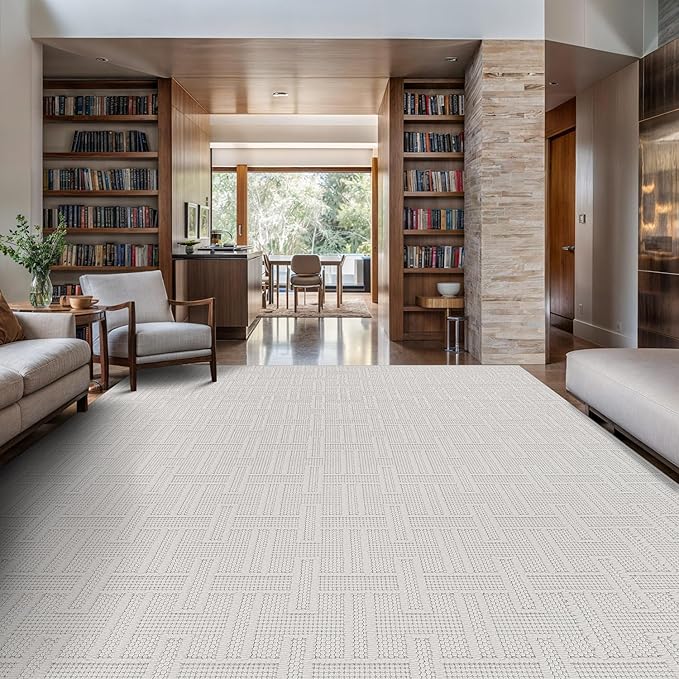 Micro Loop Indoor Rug White 5x7 Boho Geometric Neutral Area Rugs for Living Room Soft Luxury Modern Low and High Pile Durable Stain Resistant Non-Shedding Indoor Area Carpet 5 x 7