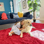 OLANLY Area Rugs for Living Room Bedroom, Machine Washable 4x5.9 ft Soft Fluffy Shaggy Bedside Rug, Indoor Floor Carpet for Kids Girls and Boys, Dorms, Nursery Rooms, Home Decor Aesthetic, Red