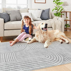 Lahome Abstract Area Rug 5x7,Soft Washable Rugs for Living Room Ultra-Thin Non Slip Gray Rugs for Bedroom, Throw Rug Carpet for Dining Room Office Playroom(5'x7',Gray)