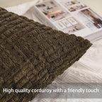 Aegero Pack of 2 Corduroy Decorative Throw Pillow Covers 16x16 Inch Soft Striped Pillow Covers Modern Farmhouse Home Decor for Sofa Living Room Couch Bed（Green）
