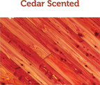 Enoz Moth Bar - Ceder Scented