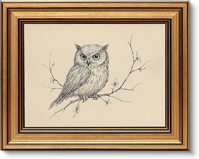 VIYYIEA Vintage Gold Framed Wall Art for Living Room, Owl Canvas Prints Home Decor, Sketch Painting Picture, Bedroom Wall Decor Gifts for Friends or Family -【Owl】-(10L x 8W)