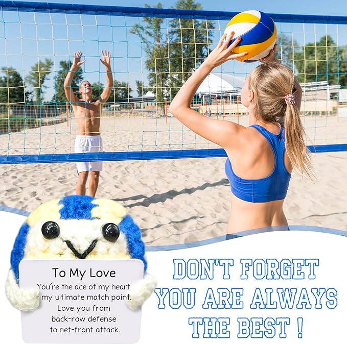 Handmade Collectible Volleyball - Emotional Support Decor,Funny Gift for Volleyball Lovers,Best Friend,Brother,Colleague,Team Mate,Home Decor Accent