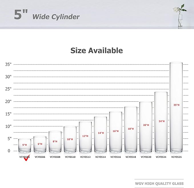 WGV Cylinder Glass Vase, Diameter 5", Height 5", Clear Glass Floral Planter Container, Floating Candle Holder for Wedding Party Event Home Office Decor, 1 Piece