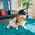 OLANLY 5x8 Machine Washable Large Area Rugs for Living Room, Bedroom, Soft Fluffy Shaggy Bedside Rug, Indoor Floor Carpet for Kids Girls and Boys, Dorms, Nursery, Home Decor Aesthetic, Teal