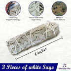 Bholi Sage Plus White Sage Sticks Pack of 3, Sage Smudge Kit 4'' Long Dried Sage Sticks for Meditation, Smudging and Cleansing, Getting Rid of Negative Energy