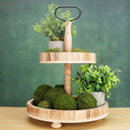 Decorative Moss Balls Set - Fake Moss Balls for Bowl Fillers, Centerpiece Decor, Home Decor, Vase Filler, Wedding Decor, Table Arrangement, Coffee Accents, DIY Crafts (Small - 2"-Set of 12)