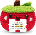 HEXMOZ End of Year Teachers Gifts - Apple Gift for Teachers - Daycare Teacher Appreciation Gifts - Thank You for Being Such an Important Part of My Story Handmade Collectible Crochet Plush Doll