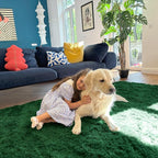 OLANLY 5x7 Machine Washable Large Area Rugs for Living Room, Bedroom, Soft Fluffy Shaggy Bedside Rug, Indoor Floor Carpet for Kids Girls and Boys, Dorms, Nursery, Home Decor Aesthetic, Dark Green