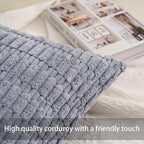 Aegero Pack of 2 Corduroy Decorative Throw Pillow Covers 18x18 InchSoft Boho Striped Pillow Covers Modern Farmhouse Home Decor for Sofa Living Room Couch Bed(Light Grey)