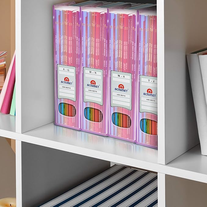 Acrimet Magazine File Holder Bin Storage, Vertical Rack for Documents, Folders and Mail, Durable Plastic Desk Organizer for Office & Home (Clear Pink Color) (2 Pack)