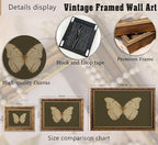 Vintage Gold Framed Wall Art Retro White Butterfly Canvas Print Dark Green Olive Insect Painting Picture Rustic Farmhouse Moth Cottagecore Poster Artwork for Living Room Bedroom