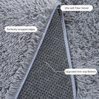 Rugs for Living Room 5x7, Soft Shaggy Modern Shag Area Rug for Bedroom, Upgrade Non-Slip Plush Fluffy Carpet for Kids Boys Girls Room Home Decor Aesthetic, Grey