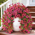 INQCMY Artificial Flowers for Outdoor Faux Hanging Plants Spring Outside Decoration,2Bundles Fake Silk Flowers Realistic Outdoor Flowers No Fade UV Resistant Porch Patio Window Yard Balcony Decor