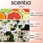 Chance-Inspired Diffuser Oil Refill- Scentia Hope Dupe Fragrance Oil Blend, Home Luxury Scents, Essential Oil Sets for Aromatherapy, Humidifiers & Candle Making | 50 ml, 1.69FlOz, Thanksgiving Gift