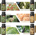 HIQILI Woodsy Fragrance Oil Set for Aromatherapy, Essential Oil Diffuser, Ideal for DIY Candles & Perfume Making, Massage Oil - Cedarwood, Frankincense, Vetiver, Rosewood, Cypress - 6x10ml