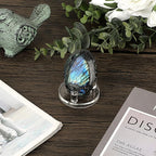 Hipiwe Acrylic Display Easel Rock Display Stand Three-Peg Display Easel Stands for Mineral Crystal Geodes Coral Fossil Small Collectibles Display Stands with Round Base,Small,4 Pack