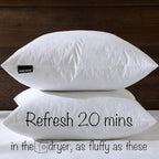 24x24 Euro Throw Pillow Inserts-Down Feather Pillow Inserts-Cotton Fabric-Set of 2-White.