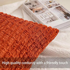 Aegero Pack of 2 Corduroy Decorative Throw Pillow Covers 20x20 InchSoft Boho Striped Pillow Covers Modern Farmhouse Home Decor for Sofa Living Room Couch Bed（Rust）
