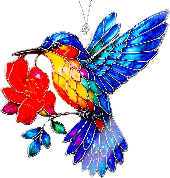 Hummingbird Gifts for Women - Christmas Ornament 2026 - Beautiful Christmas Ornaments Decorative Hummingbird with Meaningful Story Card Humming Bird Valentines Birthday Teacher Gift