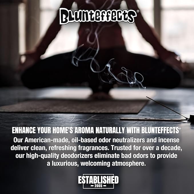 Blunteffects Hand-Dipped Incense Sticks - Premium 288-Pack Variety Set, 12 Different Scents, 11" Long, USA-Made Aromatherapy with Long Burn Time (12 Pack, 144 Total Sticks)