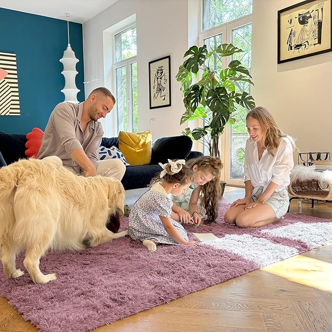 OLANLY 5x8 Machine Washable Large Area Rugs for Living Room, Bedroom, Soft Fluffy Shaggy Bedside Rug, Indoor Floor Carpet for Kids Girls and Boys, Dorms, Nursery, Home Decor Aesthetic, Blush