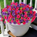 Artificial Flowers for Outdoors Decoration, 10 Bundles Fake Plastic Flower Plant, Faux Colorful Silk Morning Glory Petunias for Spring Summer Outside Garden Porch Front Door Decor, Hot Pink Purple