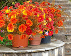 Artificial Mums Fall Flowers for Outdoors, 12 Bundles Artificial Plants Outdoor Fake Flowers UV Resistant, Outdoor Fake Plants Faux Silk Flowers for Porch Outside Planter Window Box Garden