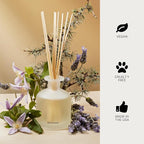 Apotheke Luxury Scented Oil Reed Diffuser Liquid Refill (Hinoki Lavender) - Premium Home Fragrance Diffuser Refill Set with Sticks