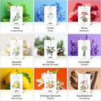 MYARO 12 Pack Cedarwood Scented Sachets for Drawer, Closet & Small Spaces Air Freshener Bags, Odor Eliminator for Car, Shoes, Gym Bag Home Fragrance Gift Set