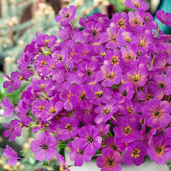 MACTING Artificial Flowers for Outdoors Fake Spring Flowers UV Resistant No Fade Plastic Faux Flowers for Hanging Planters Garden Patio Porch Window Home Indoor Outside Summer Decorations (Purple)