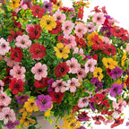 Artificial Fake Flowers Plants for Outdoor Spring Summer Decor, 12 Bundles Faux Silk Flowers for Outdoor Outside Planter Colorful Daisy UV Resistant Look Real for Front Door Porch Patio Yard