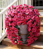 HyeFlora Artificial Flowers for Outdoors 2pcs Faux Silk Pansy Vines Lush UV Resistant Fake Hanging Flower Plants for Outside Porch Yard Patio Window Box (Rose)