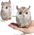 Smadeer Owl Statue and Figurine for Home Decor Accents Adorable Owl for Shelf Bookshelf Bedroom Living Room Office Table Desk Modern Decorations Animal Sculpture for Birds Lovers