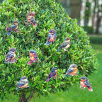 Hummingbird Window Hangings Ornament- 10Pcs Acrylic Bird Sun Catcher Decor, Art SunCatcher Tree Pendant for Gifts Indoor Outdoor Home Wall Living Room Spring Summer Garden Decoration