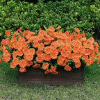 Lnoicy Artificial Flowers for Outdoor 12 Bundles Eucalyptus Fake Flowers for Planter,UV Resistant Fake Morning Glory for Home/Porch/Garden Decoration（Orange）