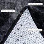 Rugs for Living Room 5x7, Soft Shaggy Modern Shag Area Rug for Bedroom, Upgrade Non-Slip Plush Fluffy Carpet for Kids Boys Girls Room Home Decor Aesthetic, Dark Grey