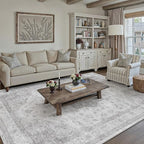 Gray Area Rug 5x8 Washable Living Room Carpet Vintage Non Slip Soft Bedroom Indoor Office Retro Grey Low Pile Thin Oriental Medallion Large Rug for Dining Room Bathroom Kitchen