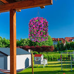 Artificial Fake Hanging Flowers Plants for Outdoor Decoration, 2PCS Faux Silk Morning Glory Long Vines Stems UV Resistant Look Real for Spring Summer Outside Home Porch Patio(Violet Red Purple)